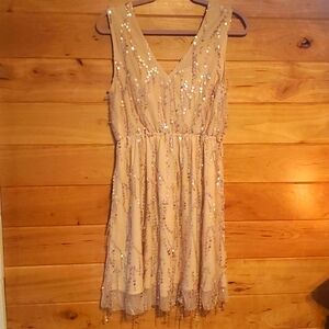 Southern Fried Chics Dress